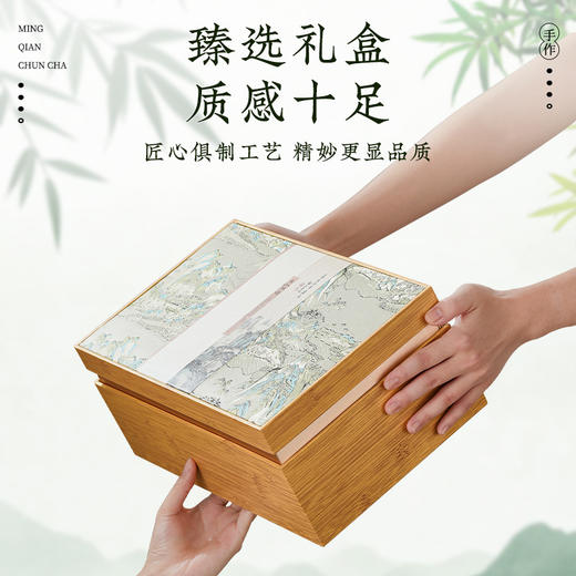 【粉丝专属❗️明前碧螺春茶叶礼盒】甄选品质产地原料，鲜嫩信阳毛尖，滋味鲜美，清醇透亮，马年新年送礼好物年货礼盒L 商品图3