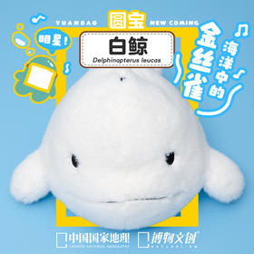 博物文创 大圆宝 白鲸  新年元旦生日礼物