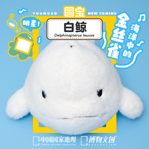 博物文创 大圆宝 白鲸  新年元旦生日礼物 商品图0