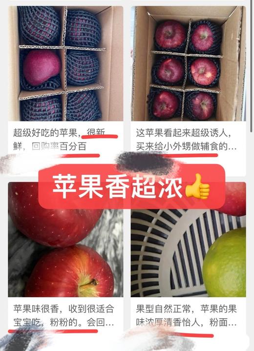 组团9-11号发货 商品图13