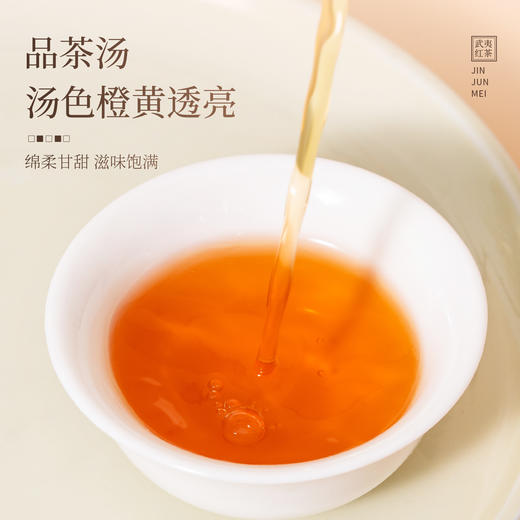 【顺丰春季茶礼】茶叶 红茶 金骏眉  盛世江山 茶叶礼盒  茶饮 华源 330g 商品图6