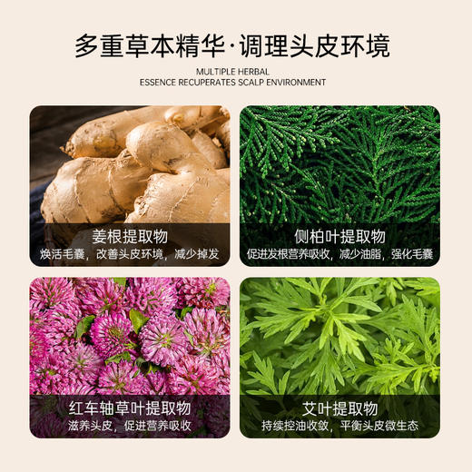 艾玛丝强韧防脱固发洗发水 商品图6