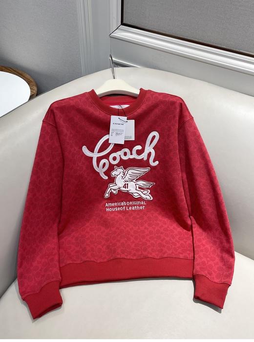 年后发！代工订单裁余！纯元！Coa女士飞马刺绣针织卫衣/短袖T恤（售后时间：签收3天内，不合适及时申请） 商品图1