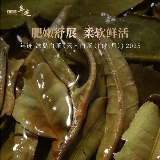 小罐茶年迹云南冰岛老白茶白牡丹茶饼茶叶礼盒装500g 送长辈送礼 商品图3