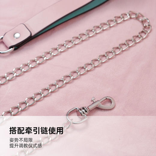 马卡龙蝴蝶结真皮项圈 可拆卸 商品图4