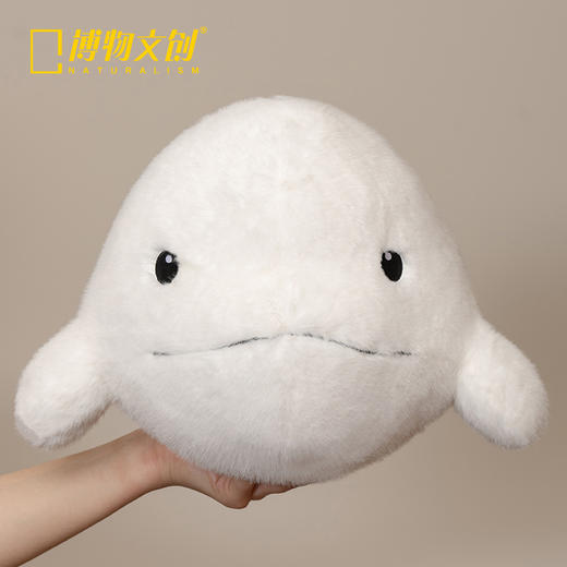 博物文创 大圆宝 白鲸  新年元旦生日礼物 商品图5