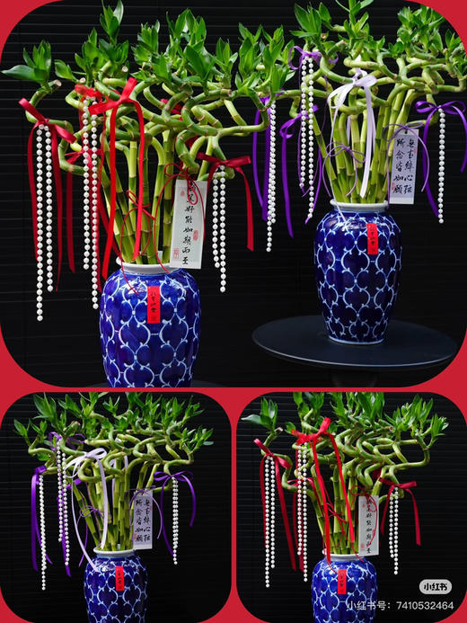 【2026.2.12】秒杀特价：1扎10枝A级转运竹32.9（现货 下单即可到店自提） 商品图1