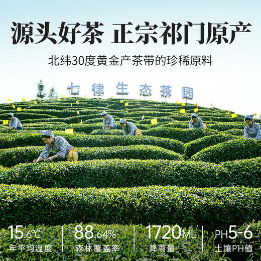 【粉丝专属❗️祁门红茶礼盒】致茶礼“盒”您心意，源自核心茶区，每一口都是对舌尖的享受，年货礼盒装公司团购春节送礼长辈L 商品图3