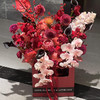 《锦晧》蝴蝶兰红掌冬青马蹄莲大丽花年宵花抱抱桶 商品缩略图3
