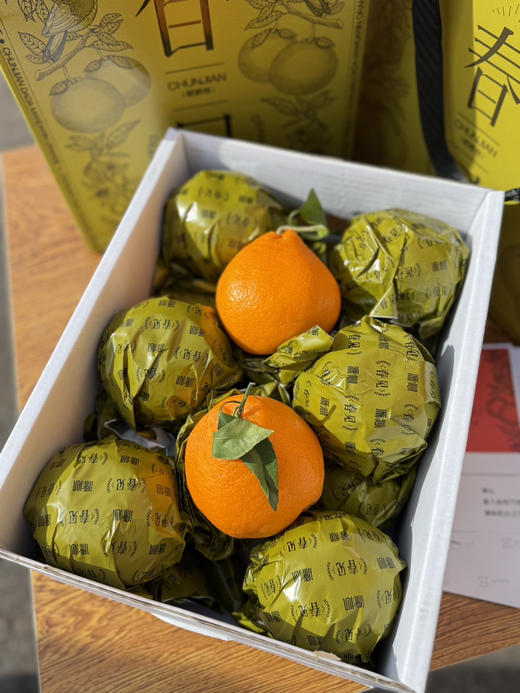 源心春见耙耙柑 商品图4