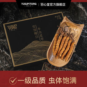 【大眼睛-2月】羽心堂 雪顶曜日冬虫夏草 10根特级 虫草 孕妇不可用 国内发货