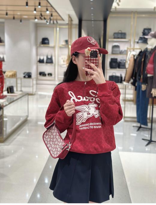 年后发！代工订单裁余！纯元！Coa女士飞马刺绣针织卫衣/短袖T恤（售后时间：签收3天内，不合适及时申请） 商品图4