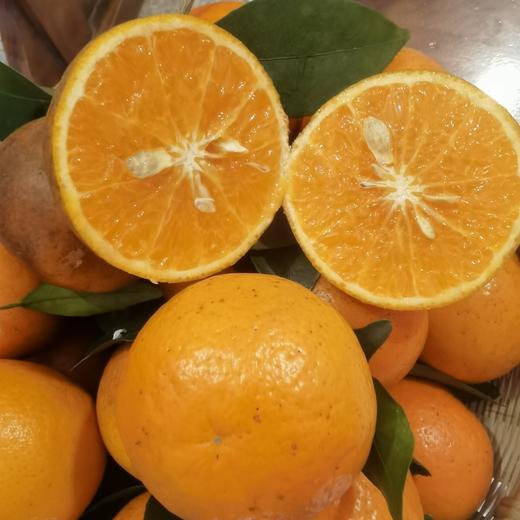 桂林生态砂糖橘&生态沃柑 商品图7