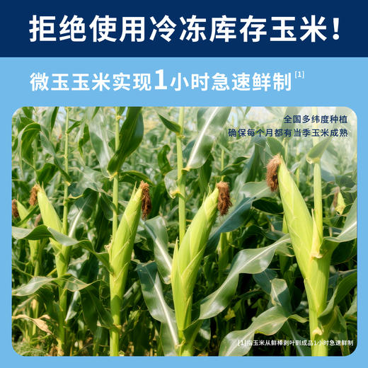 微玉 黄糯玉米 香甜糯 真空包装 7A鲜做高标准 非转基因 10根装 商品图3