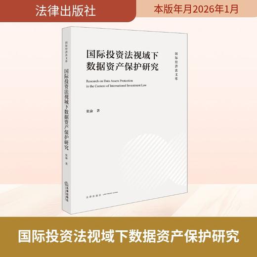 国际投资法视域下数据资产保护研究 商品图0