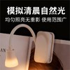 【可调远近光❗️立夹可两用】迷你夹子灯户外充电led便携宿舍床头学习夜灯护眼书夹阅读灯。jd 商品缩略图1