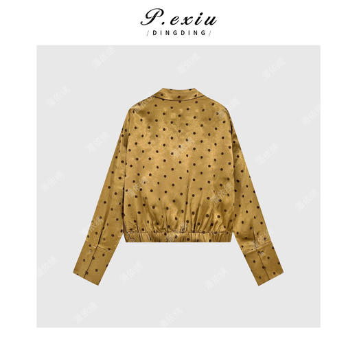 04-3潘依绣丁丁宠粉PanYiXiu/潘依绣100醋酸气质光泽感波点不规则长袖衬衫Q4697 商品图1