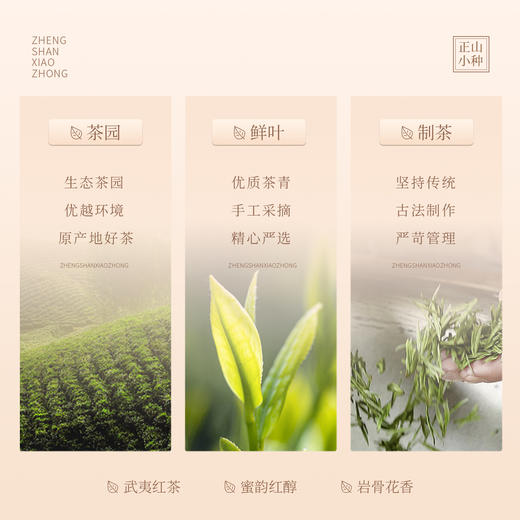 【顺丰春季茶礼】茶叶 红茶 正山小种  陶瓷罐 茶叶礼盒  茶饮 华源 400g 商品图4