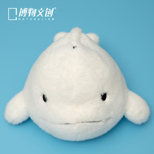 博物文创 大圆宝 白鲸  新年元旦生日礼物 商品图3