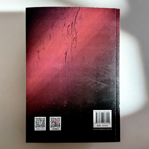 新高考考试综合等值研究 张远增 商品图2