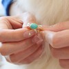 【资深玩家建议拍】孤品捡漏 高品质绿松戒指 丫角山产区 懂的都懂 商品缩略图1