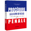 法国刑事诉讼 [法]科拉莉·安布鲁瓦兹·卡斯特罗 [法]菲利普·邦菲斯著 王晨辰译 法律出版社 商品缩略图0