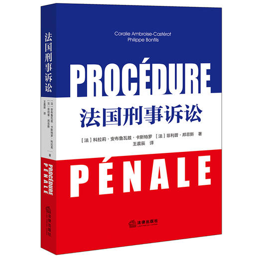 法国刑事诉讼 [法]科拉莉·安布鲁瓦兹·卡斯特罗 [法]菲利普·邦菲斯著 王晨辰译 法律出版社 商品图0