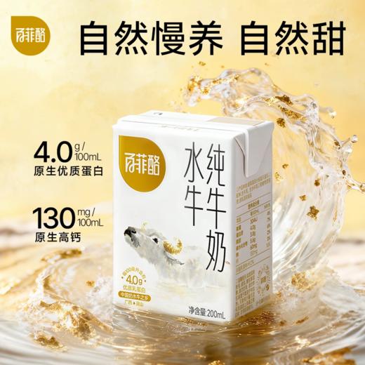 百菲酪水牛奶广西水牛奶4.0g蛋白早餐奶 商品图0