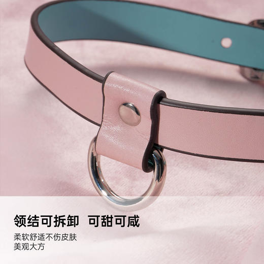 马卡龙蝴蝶结真皮项圈 可拆卸 商品图1