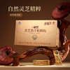 滋仙草高黎贡山灵芝孢子粉20g/盒 商品缩略图0