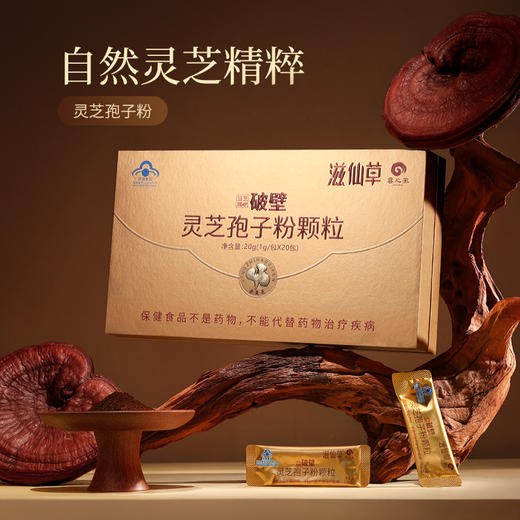 滋仙草高黎贡山灵芝孢子粉20g/盒 商品图0