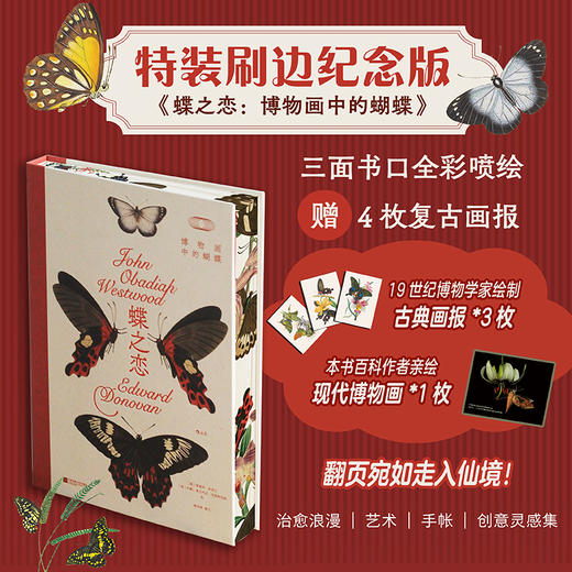 【特装版】蝶之恋：博物画中的蝴蝶 商品图0