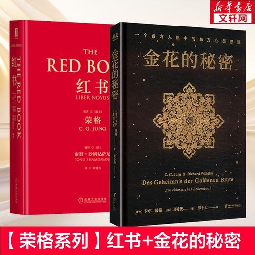 红书+金花的秘密 荣格 商品图0