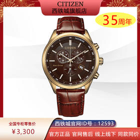 西铁城/CITIZEN光动能正品皮带商务经典三眼计时男表AT2573-07X