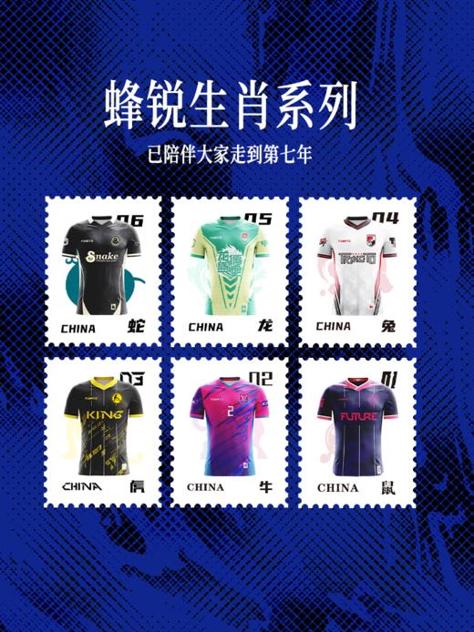 蜂锐马年主题定制球衣组队运动比赛套装 商品图1