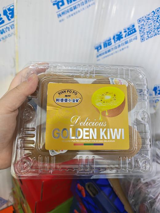 小金矿国产金果 商品图0