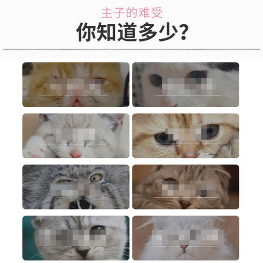 道力其-猫赖氨酸营养膏120g 多维营养膏 适口性高 厂家直供 商品图2