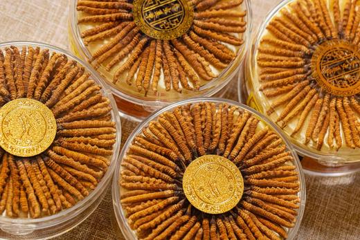 【野生冬虫夏草】元和优选 | 青海玉树高海拔野生干虫草 4根/克 商品图1