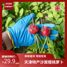 【樱桃萝卜】天津特产沙窝产地樱桃萝卜29.9元5斤！现拔现发，顺丰包邮，送货上门!