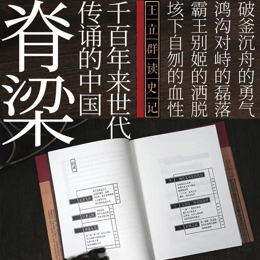 王立群读史记：西楚霸王项羽  商品图2