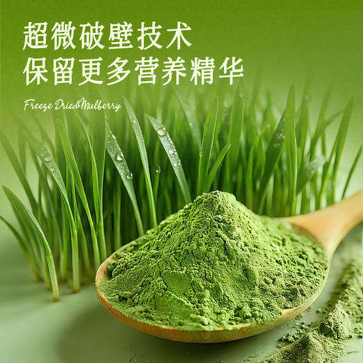 全食物日记 有机大麦苗粉90g(3g*30) 商品图3