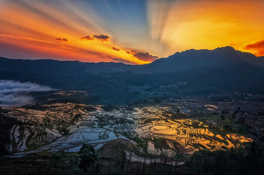 暖冬小众目的地！【滇东南5日亲子营】走进哈利族秘境部落，探访阿者科的蘑菇房，博物馆探寻寒武纪生命的奥秘，哈尼梯田摸鱼，漫步抚仙湖，碧色寨重现“芳华”年代，在建水当“小秀才”，捏紫陶 商品图9