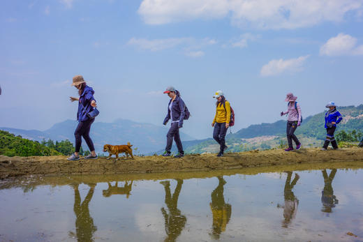 暖冬小众目的地！【滇东南5日亲子营】走进哈利族秘境部落，探访阿者科的蘑菇房，博物馆探寻寒武纪生命的奥秘，哈尼梯田摸鱼，漫步抚仙湖，碧色寨重现“芳华”年代，在建水当“小秀才”，捏紫陶 商品图10
