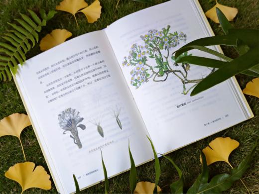 植物学家的笔记 申惠雨/著 罗竣/译 商品图4