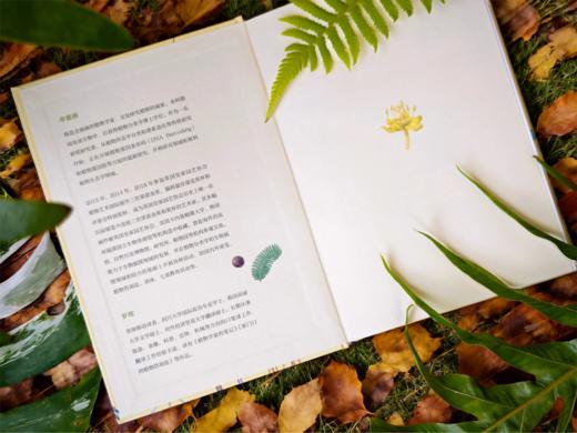 植物学家的笔记 申惠雨/著 罗竣/译 商品图3