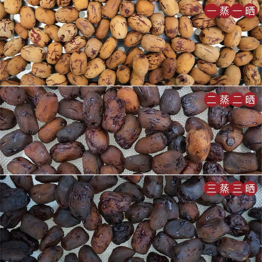 三蒸三晒黄芪枣 商品图4