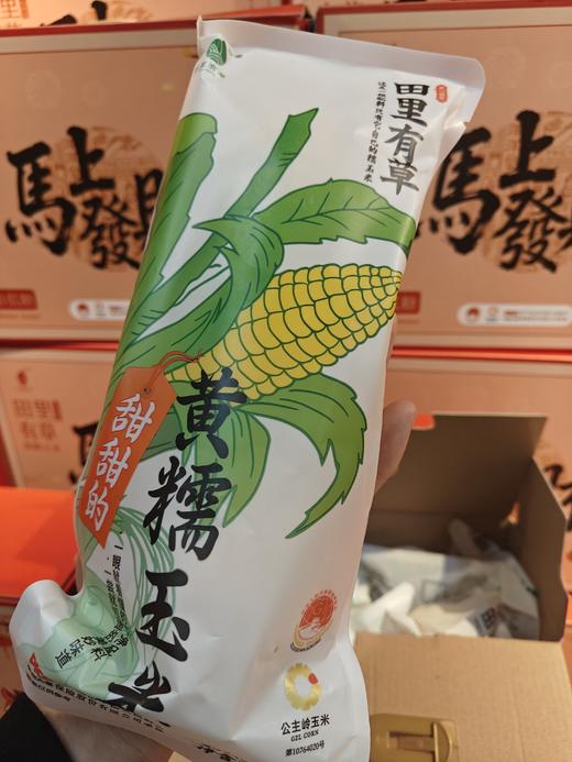 【新春版特惠】田里有草甜糯玉米1件10支 0防腐0农药0添加0化肥 人工除草 非转基因 早餐系列 商品图11
