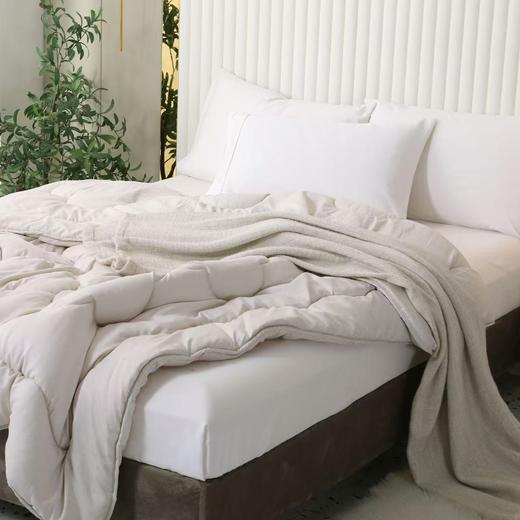 【春上新】10楼堂皇    智暖大豆亲肤春秋被 200x230胎重600g      吊牌价320元 活动价99元 商品图5