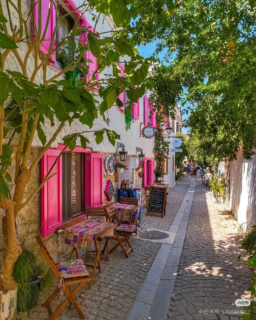 【专家研学团】暑期研学膨胀金 商品图11