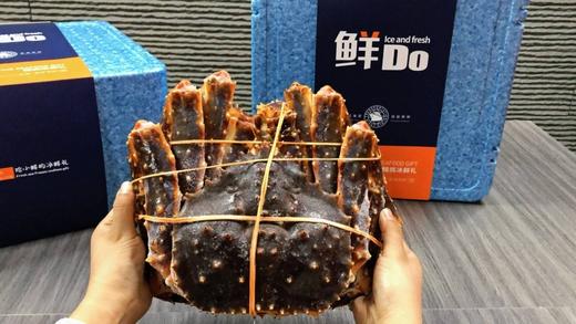 春节礼盒.帝王蟹 商品图3